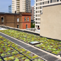 exterior vegetated roof