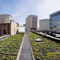 exterior vegetated roof